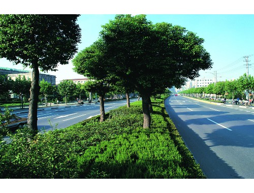 博鱼中国官网：南平市绿化市容局副局长