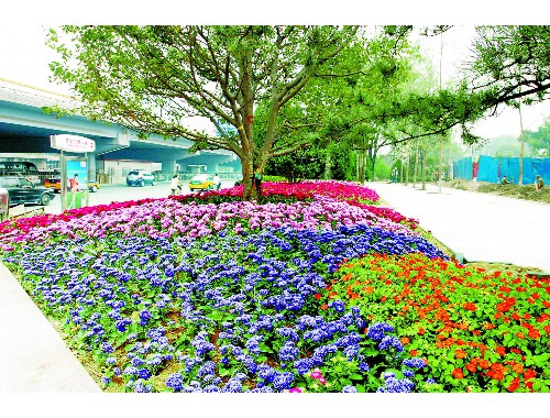 博鱼boyu体育官方平台：天津市堃泽园林绿化工程有限公司