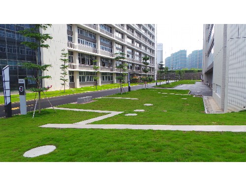 博鱼官方网站：大港绿化苗木市场完了