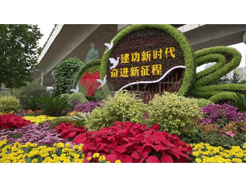 博鱼boyu体育官方平台：怀化城市绿化一般种什么花