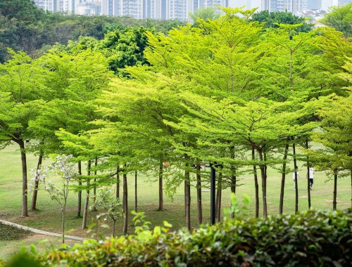 博鱼boyu体育官方平台：台州城市绿化护栏网