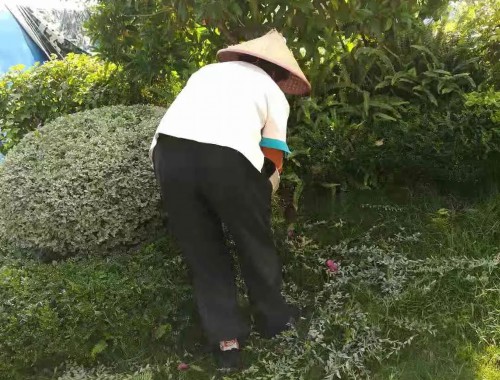 博鱼中国官网：庭院绿化工程价格评估规范