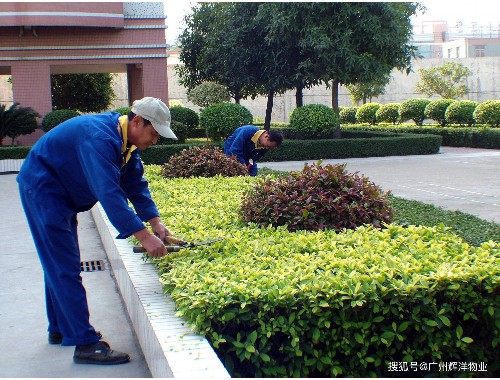 博鱼boyu体育官方平台：宜都园林绿化公司招聘