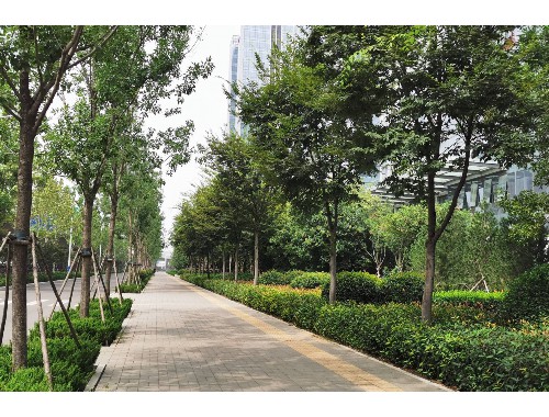 博鱼中国官网：新疆城市绿化程度排名表