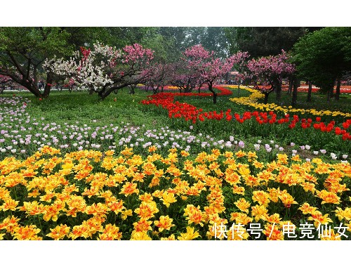 博鱼中国官网：余姚房顶绿化工程费用价格