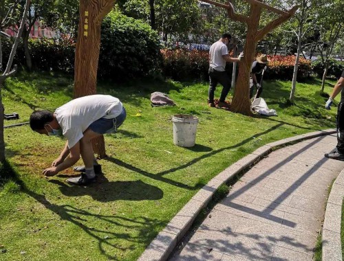 博鱼boyu官方网站：永新高速边坡绿化工程