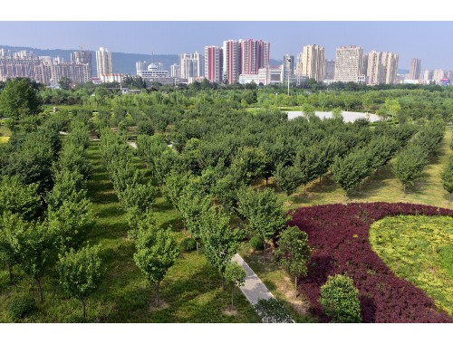 博鱼官方网站：萧山苗木绿化工程公司招聘