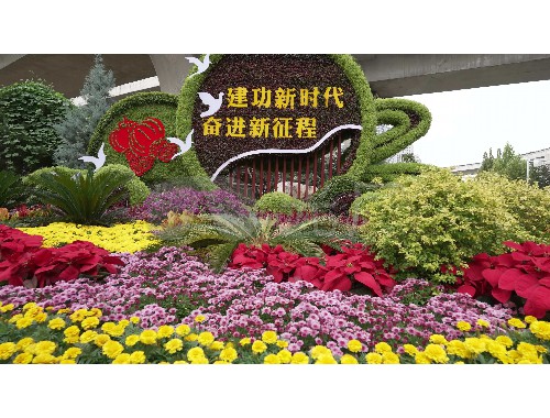 博鱼中国官网：邢台通道绿化工程施工