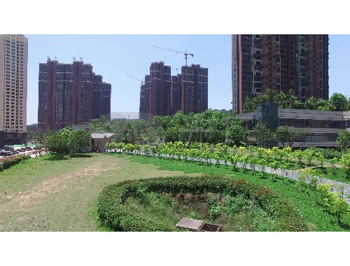 博鱼boyu：园林道路景观绿化工程