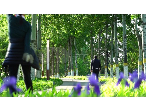 博鱼官方网站：徐州毓菁园林绿化工程有限公司